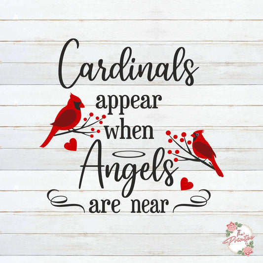 Cardinals appear when Angels are near SVG